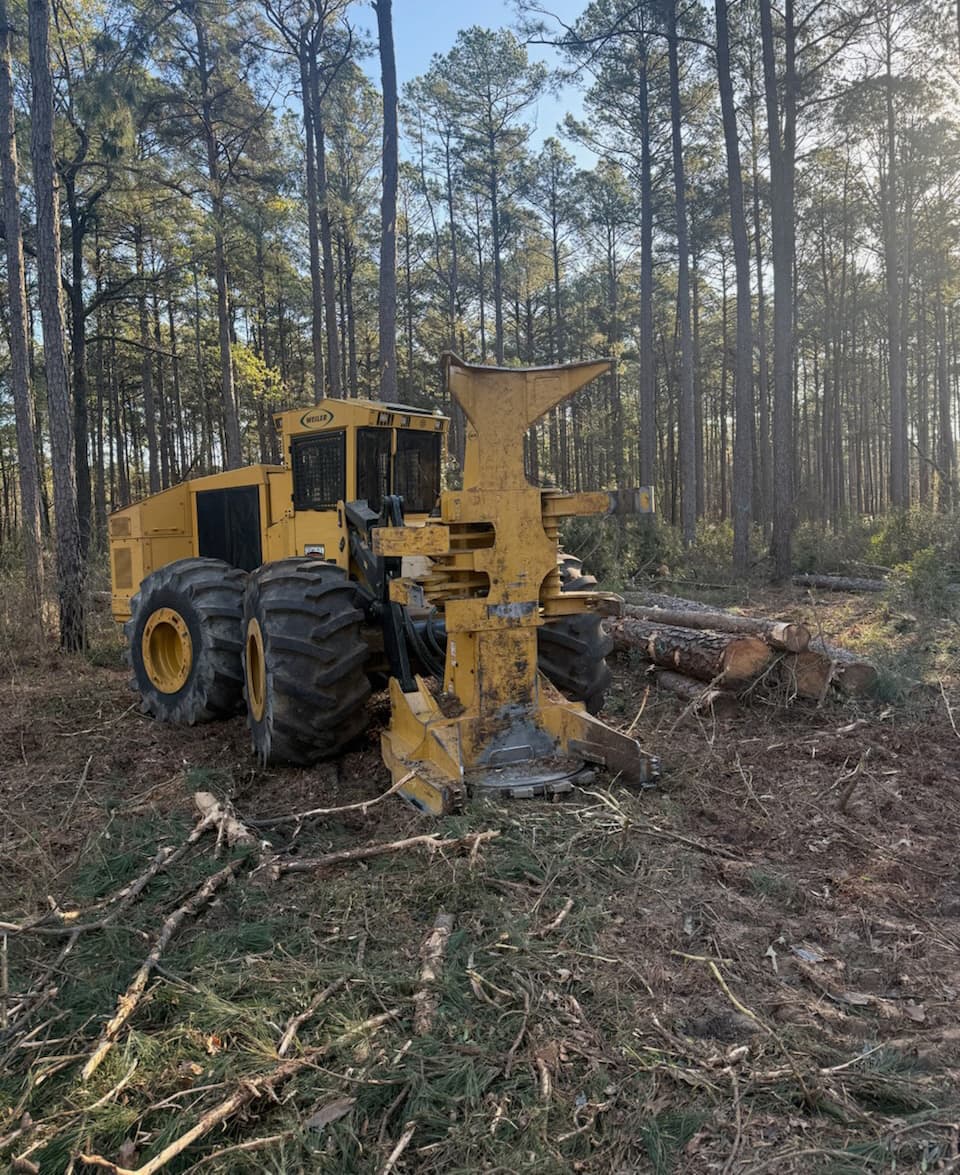 Forestry equipment: Feller Buncher